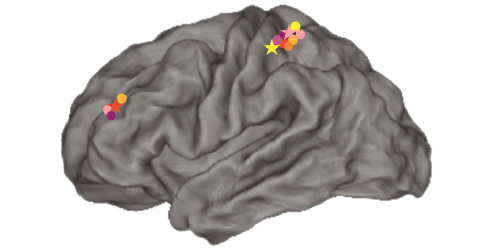 Neuron 2018